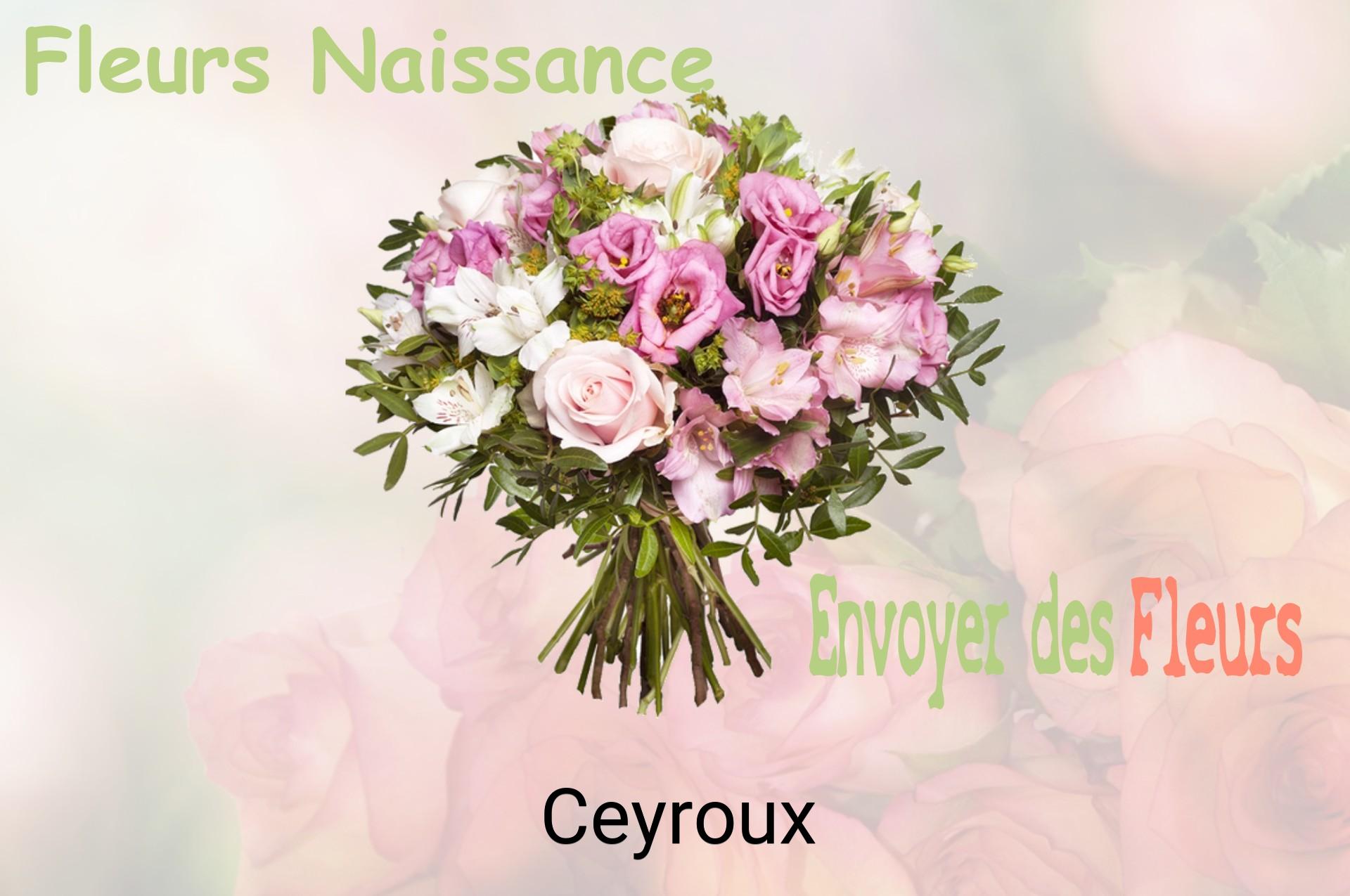 Bouquet de fleurs de naissance livré à Ceyroux